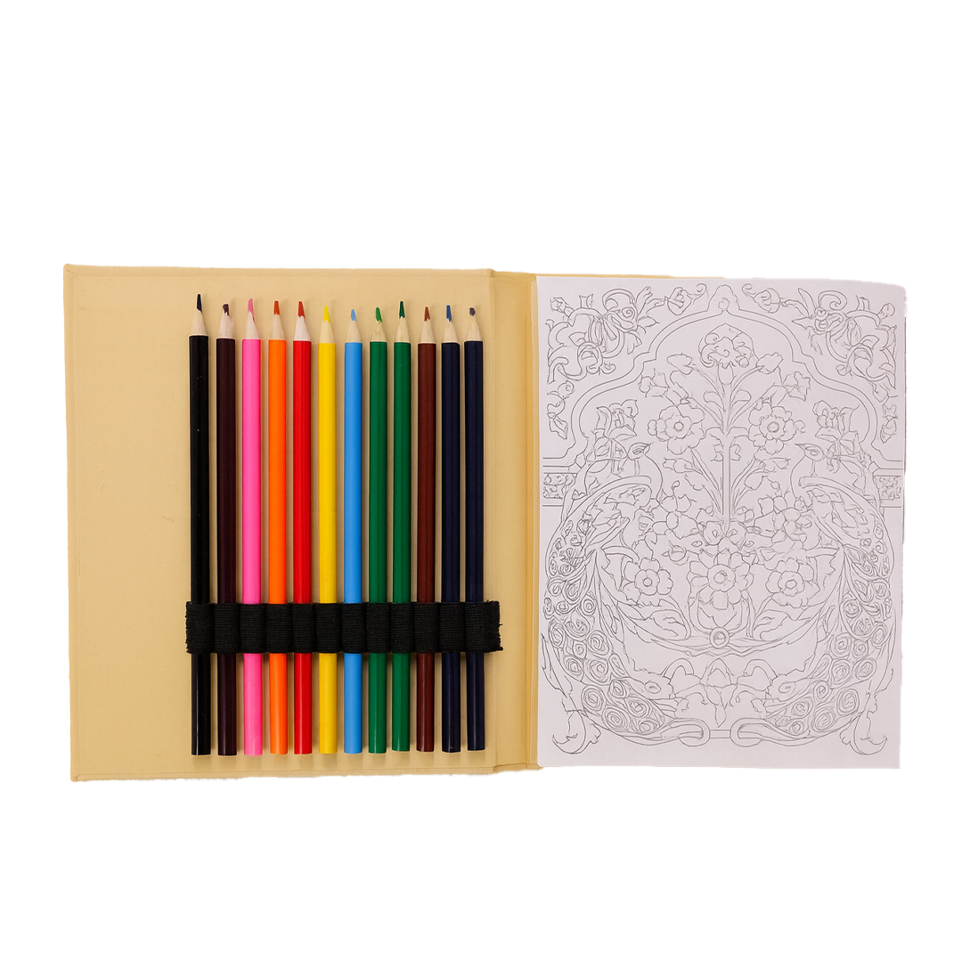 COLOR BOOK ? A5 Creative Coloring Set with 50 Patterned Pages & 12 Coloring Pencils for Art on the Go