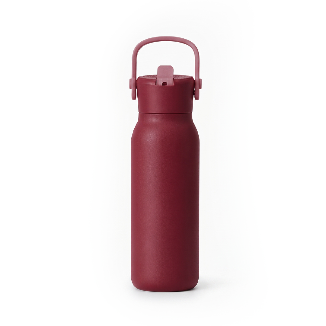 SipN'Go | 700ml Insulated Stainless Steel Water Bottle with Straw